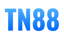 kntn88aa.com
